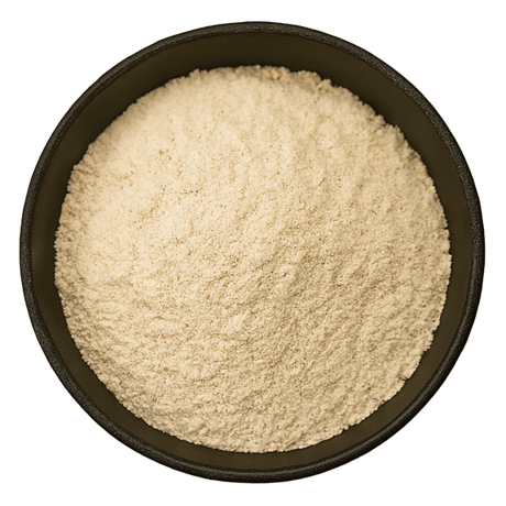  (Background Removed)