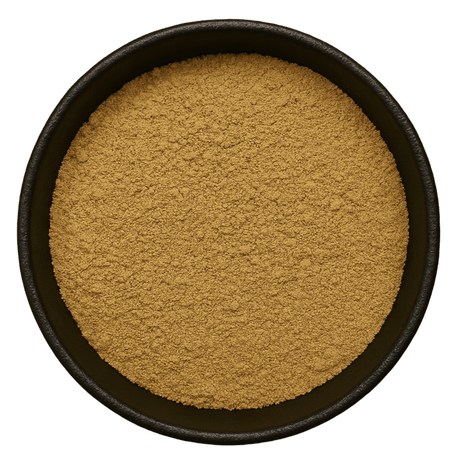  (Background Removed)