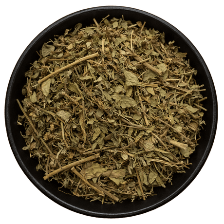 Leafflower Herb Whole (Phyllanthus Urinaria) (Background Removed)