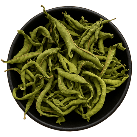  (Background Removed)