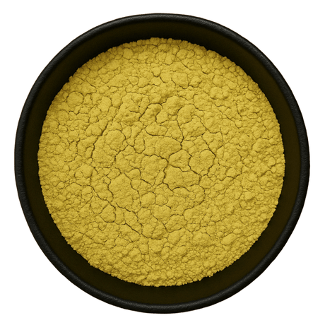  (Background Removed)