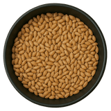  (Background Removed)