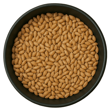  (Background Removed)