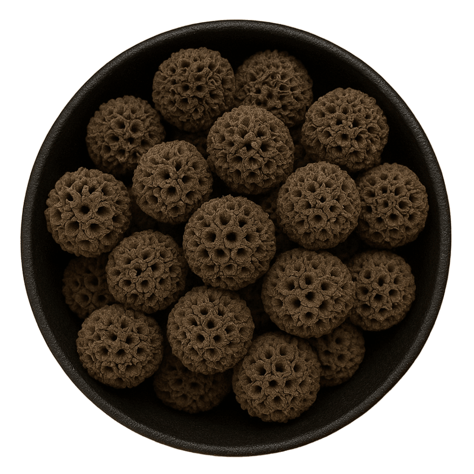  (Background Removed)