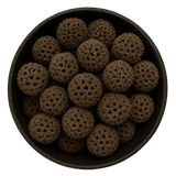  (Background Removed)