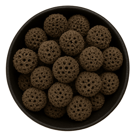  (Background Removed)