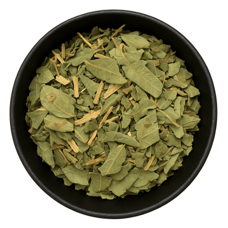  (Background Removed)