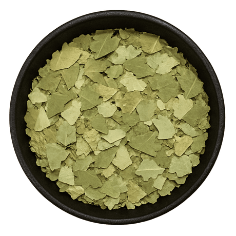  (Background Removed)