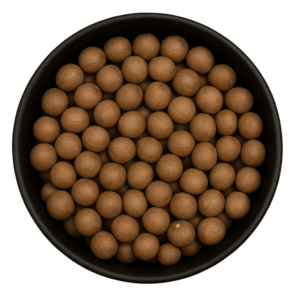  (Background Removed)