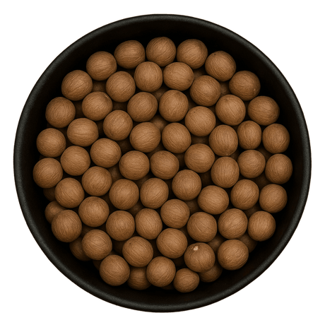  (Background Removed)