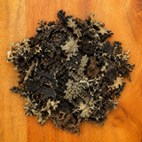 Lungwort Lichen Whole (Lobaria Pulmonaria)