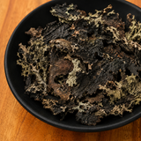 Lungwort Lichen Whole (Lobaria Pulmonaria)