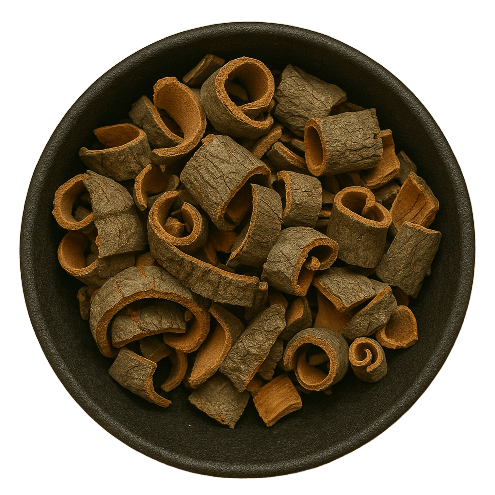  (Background Removed)