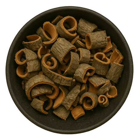  (Background Removed)