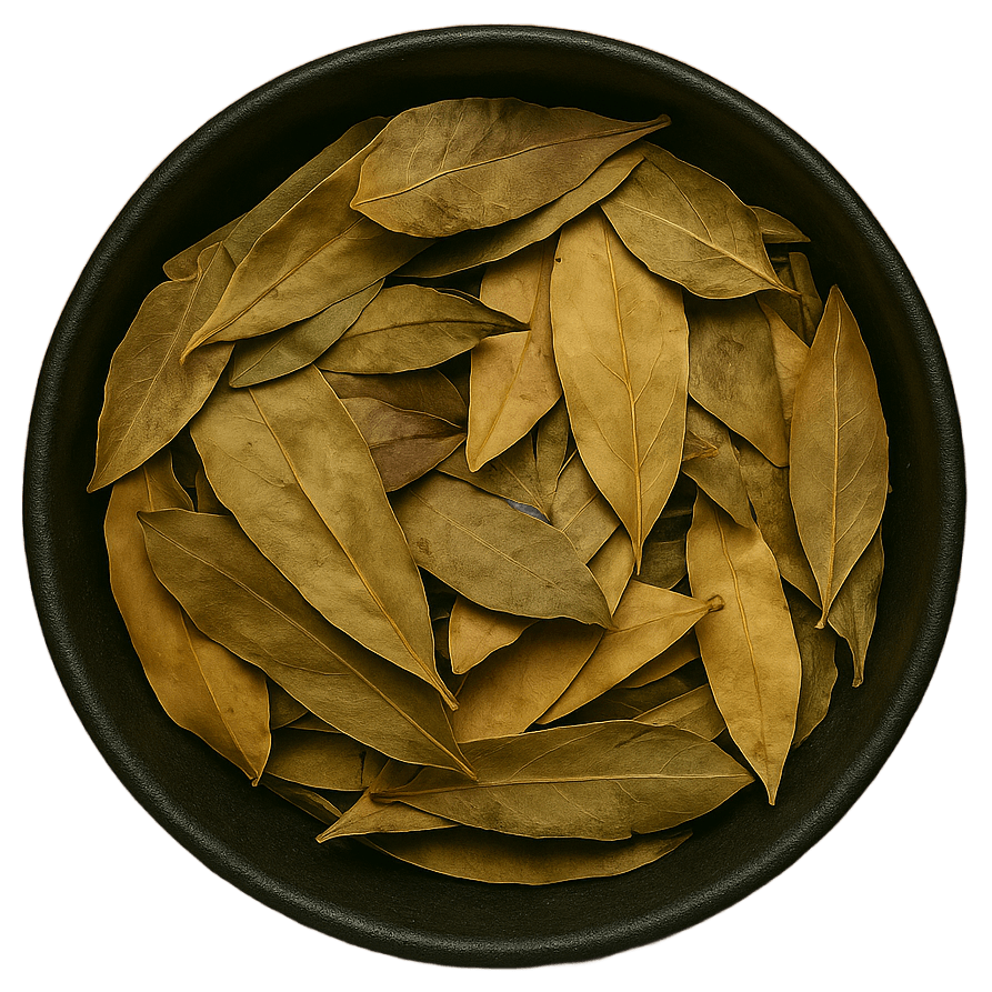  (Background Removed)