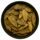  (Background Removed)