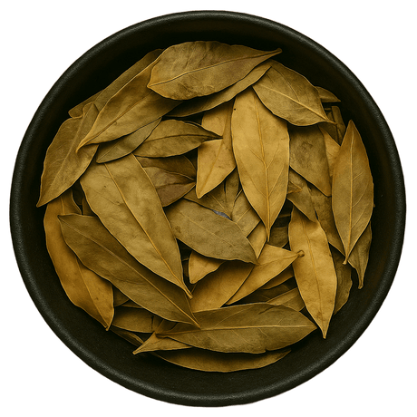  (Background Removed)