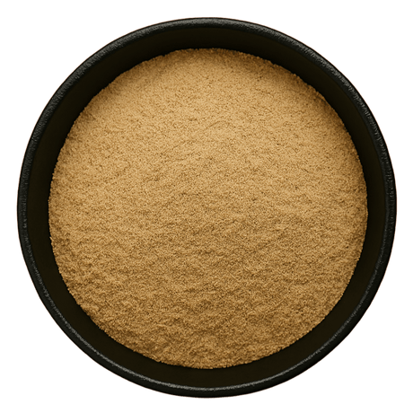  (Background Removed)