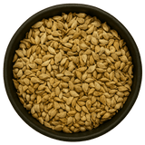  (Background Removed)