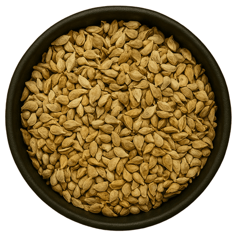  (Background Removed)