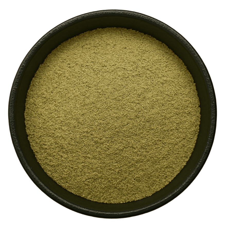  (Background Removed)