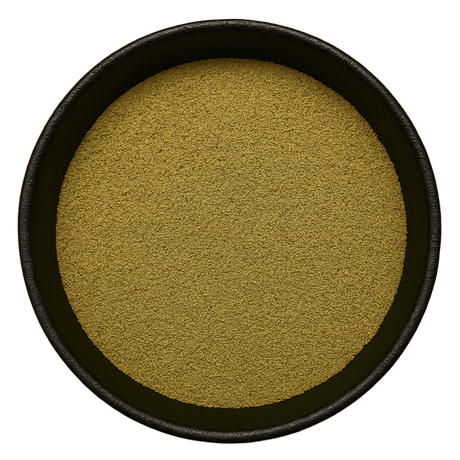  (Background Removed)