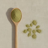 Motherwort Herb Powder (Leonurus Cardiaca) | Create a luxurious, photorealistic product photograph featuring the original product naturally arranged in an elegant handcrafted wooden spoon on a soft, finely