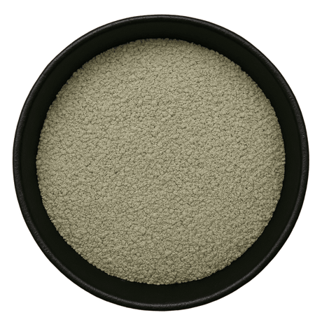  (Background Removed)