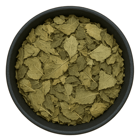  (Background Removed)