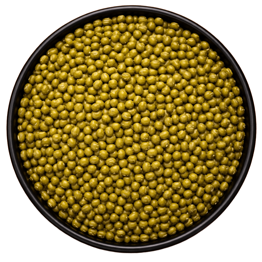  (Background Removed)