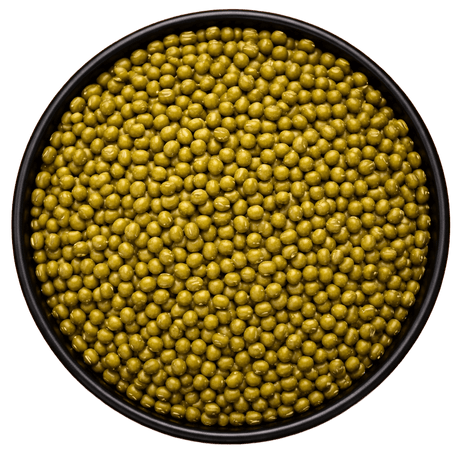  (Background Removed)