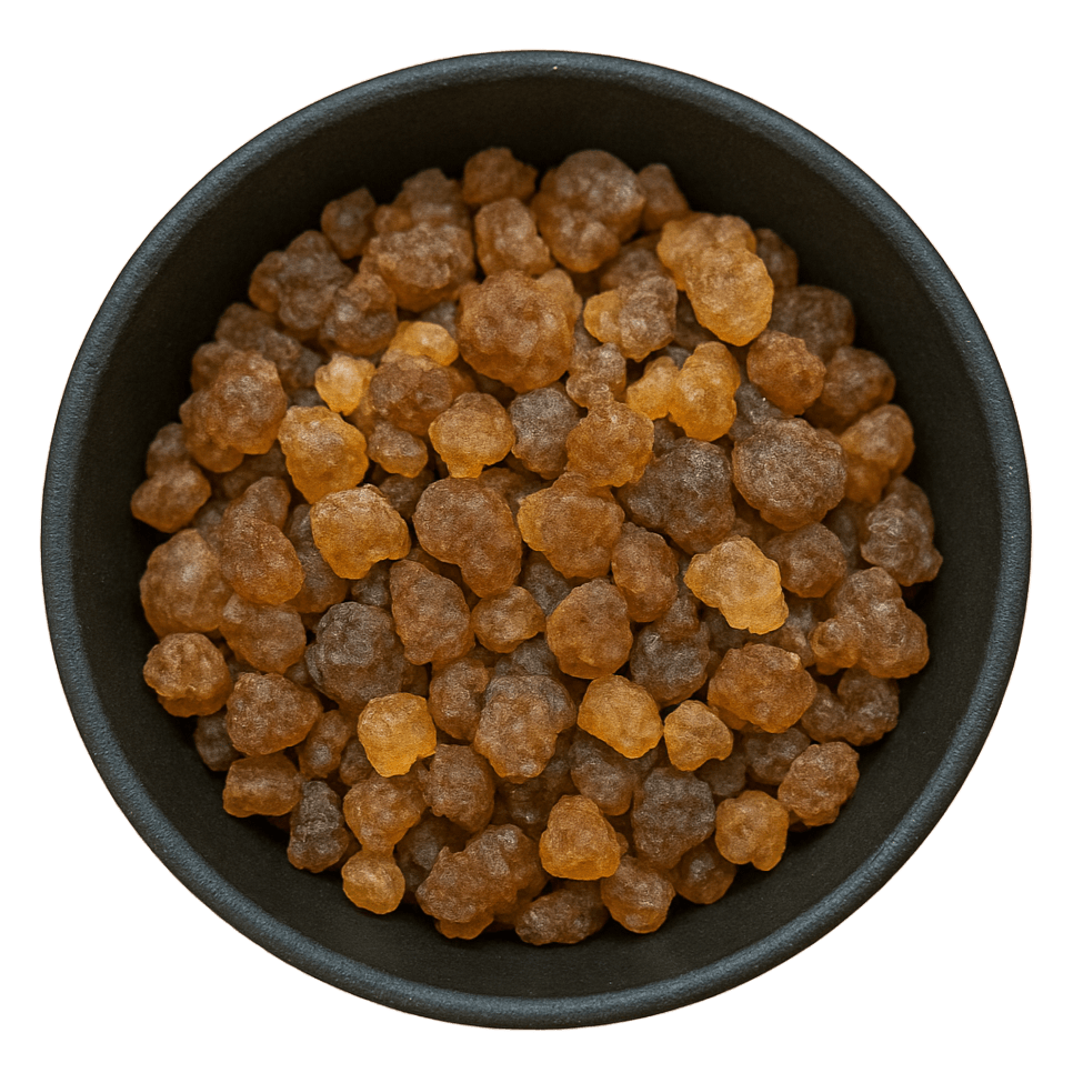  (Background Removed)