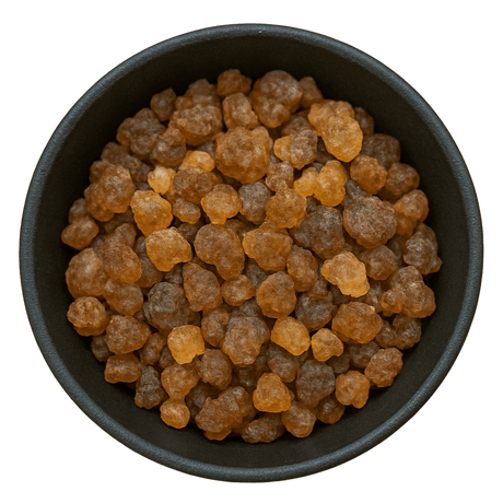  (Background Removed)