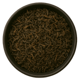  (Background Removed)