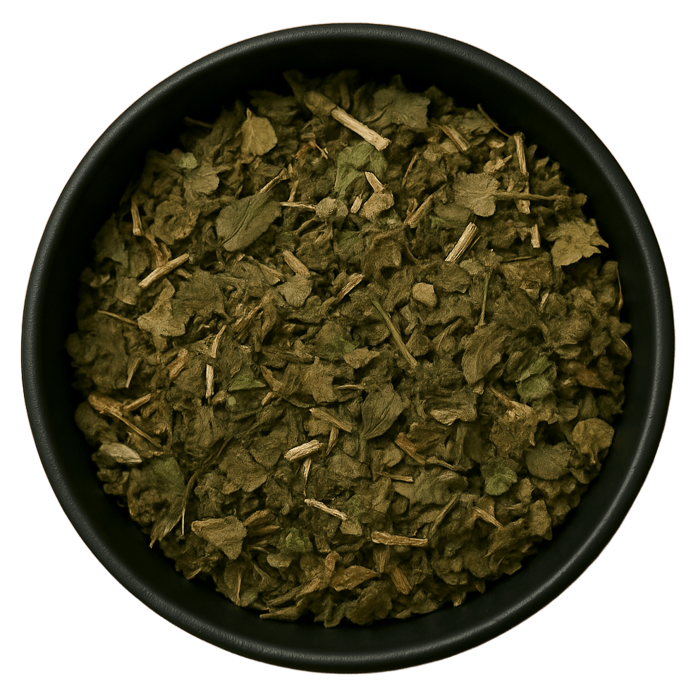  (Background Removed)