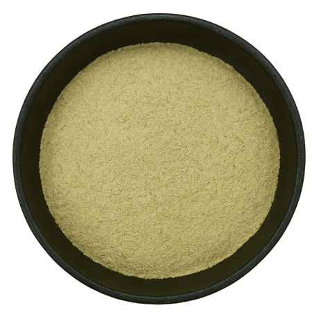  (Background Removed)