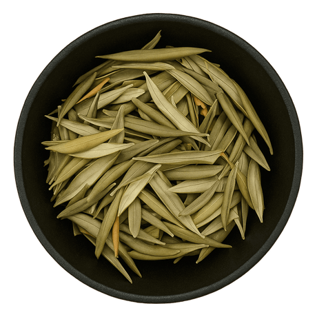  (Background Removed)