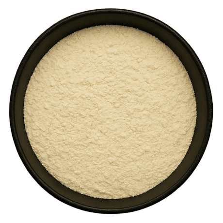  (Background Removed)