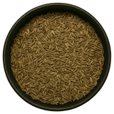  (Background Removed)