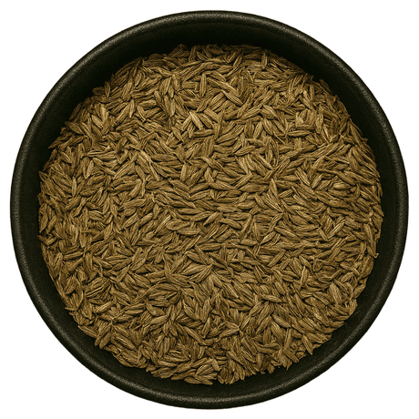  (Background Removed)