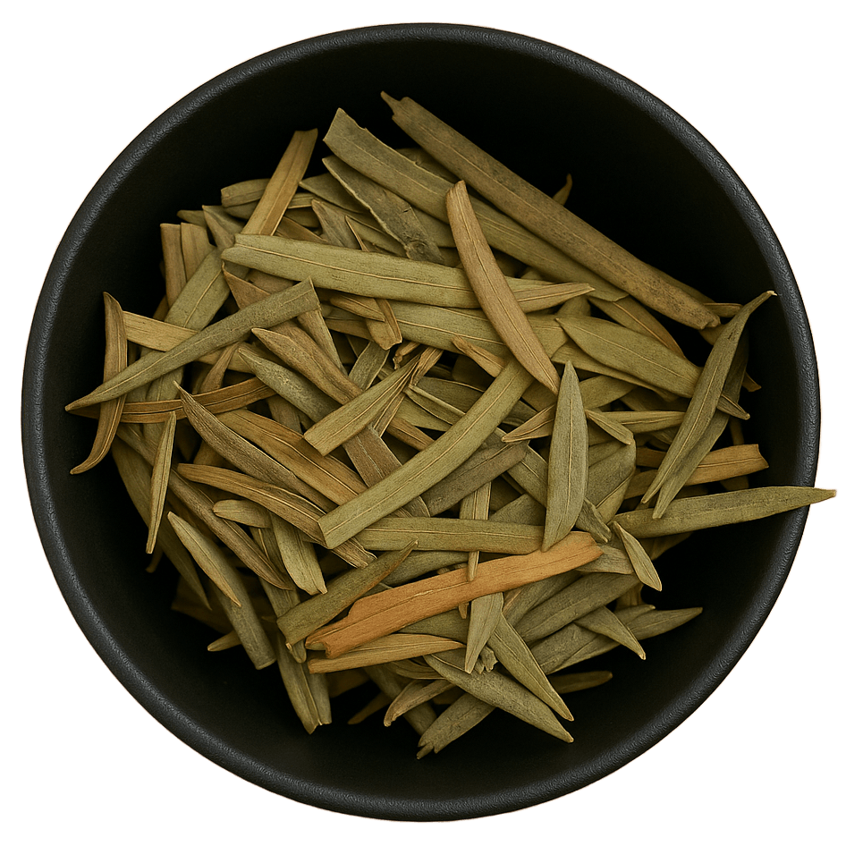  (Background Removed)