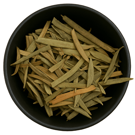  (Background Removed)