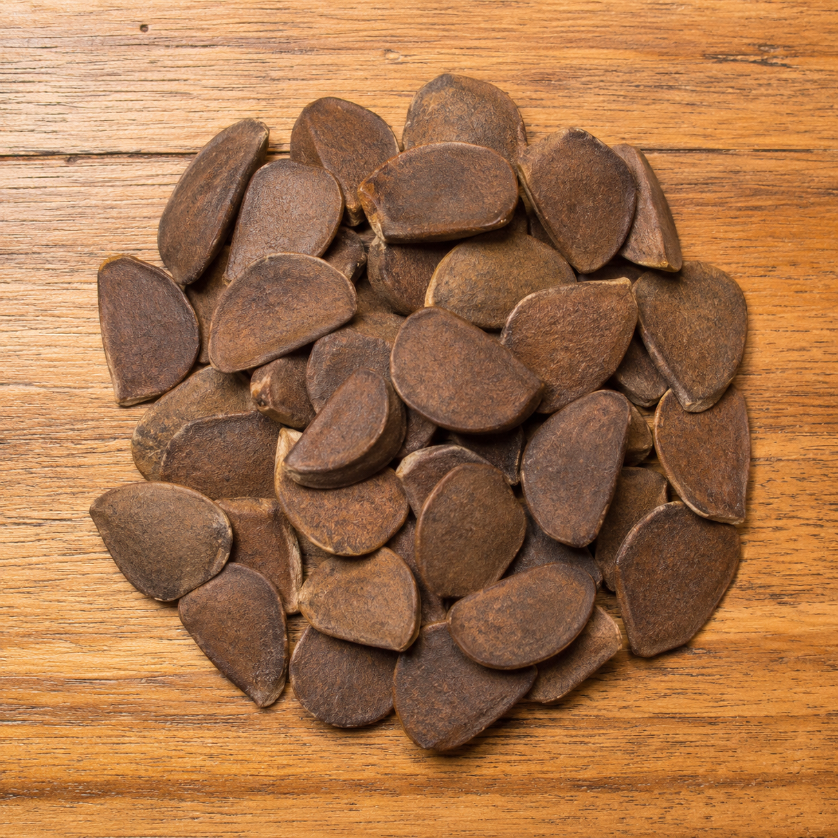Pacific Coast Mahogany Seeds Whole (Swietenia Humilis)