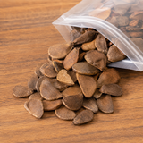 Pacific Coast Mahogany Seeds Whole (Swietenia Humilis)