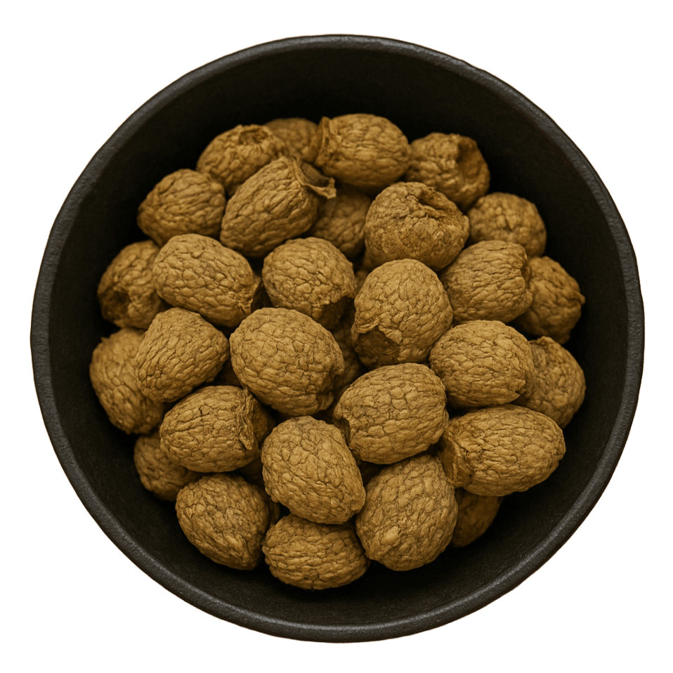  (Background Removed)