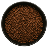  (Background Removed)