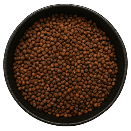  (Background Removed)