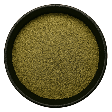  (Background Removed)