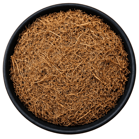  (Background Removed)