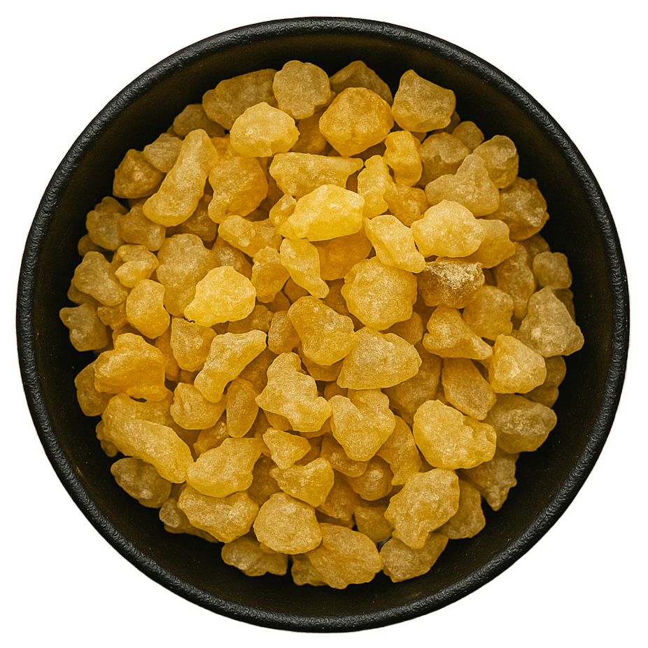  (Background Removed)